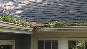 gutter cleaning houston