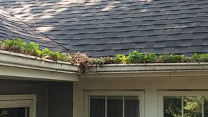 gutter cleaning houston