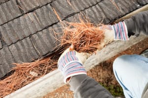 Gutter Cleaning Houston